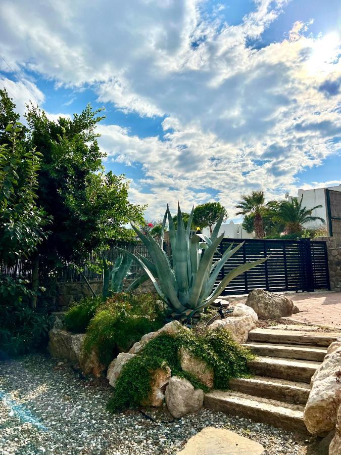 Tatil Evi Cute Home, Modern 2 1 Stand Alone House With Garden, Near The *