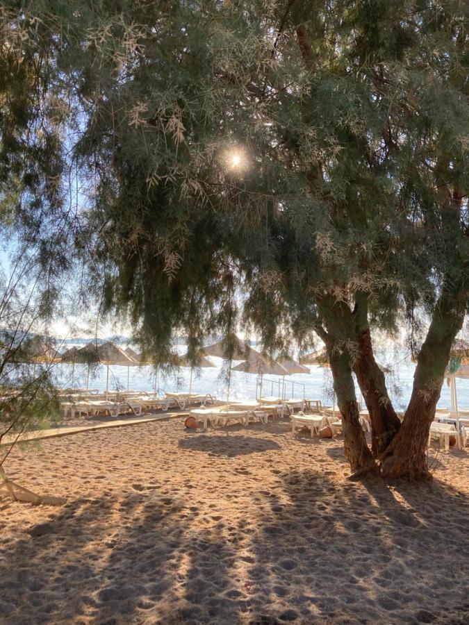 Cute Home, Modern 2 1 Stand Alone House With Garden, Near The Tatil Evi Bodrum